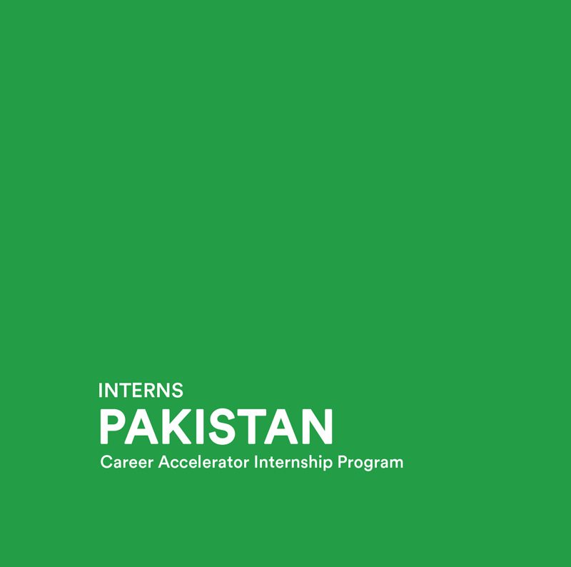 Reviewing the First Interns Program
