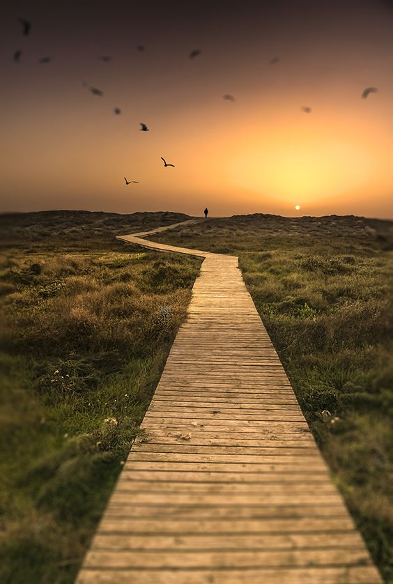 Finding what you really want to be?